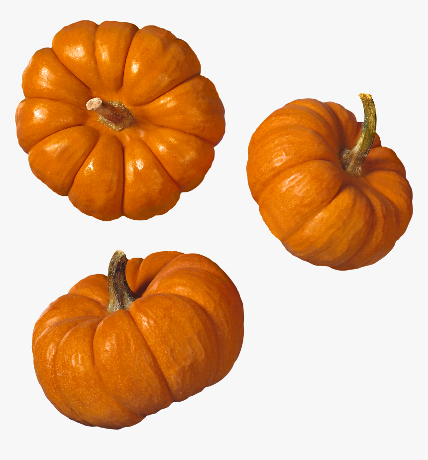 Pumpkin, HD Png Download