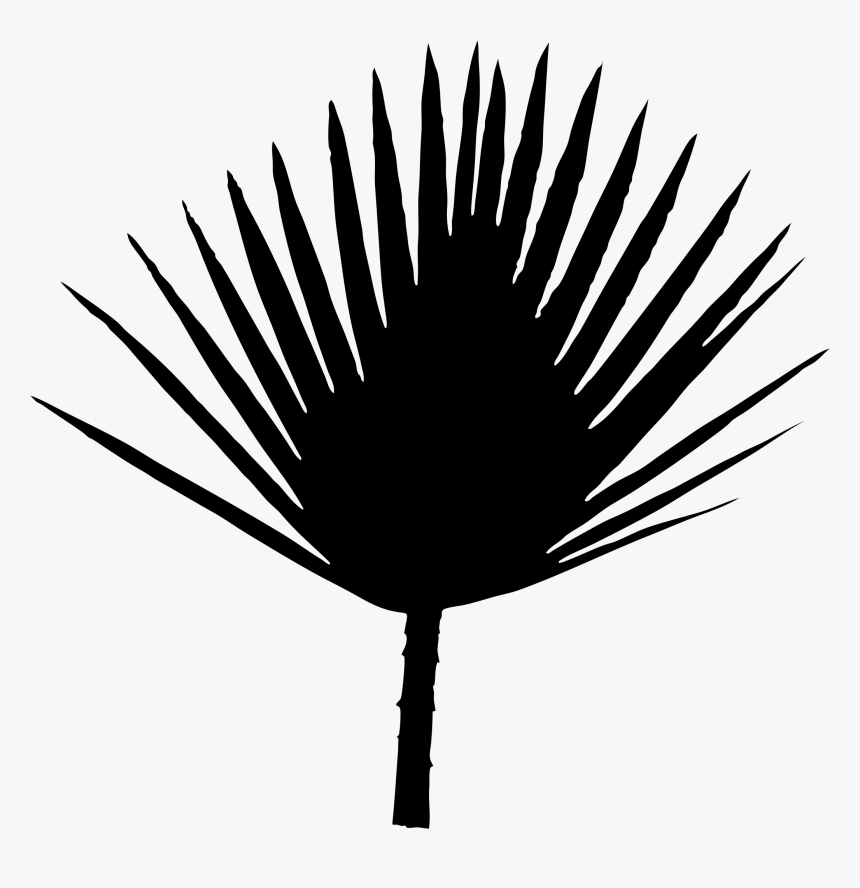 Font Line Silhouette Palm Trees Leaf - Illustration, HD Png Download