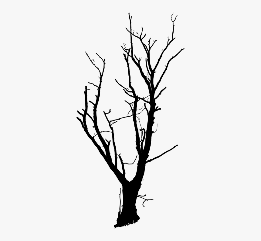 Trunk Tree Branch Snag Drawing Cc0 - Png Transparent Dead Trees, Png Download