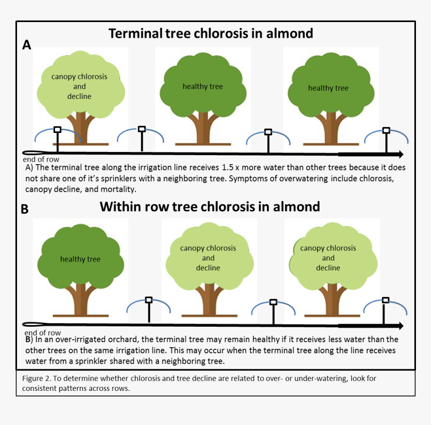 Diagram, HD Png Download