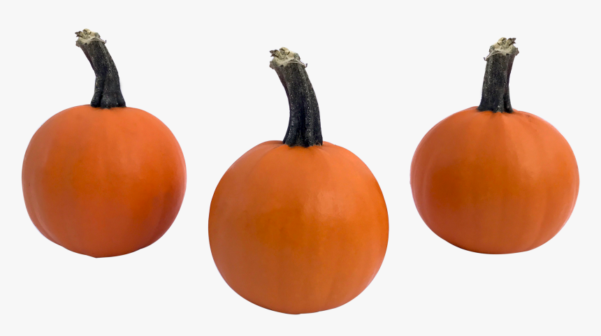 Weeb-1 - Pumpkin, HD Png Download