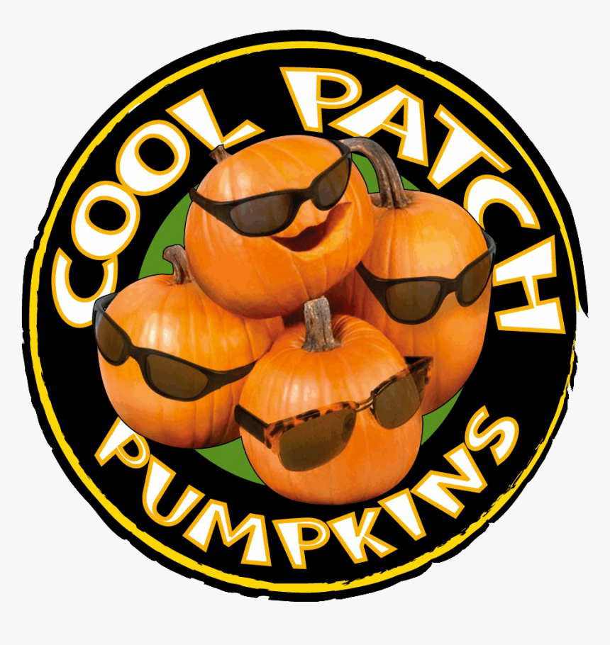 Coolpatchpumpkins Cool Pumpkins - Cool, HD Png Download