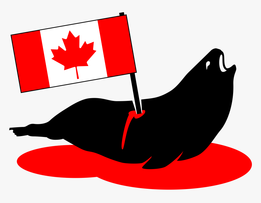 Stabbed Canadian Seal Clip Arts - Distressed Canada Flag Svg, HD Png Download