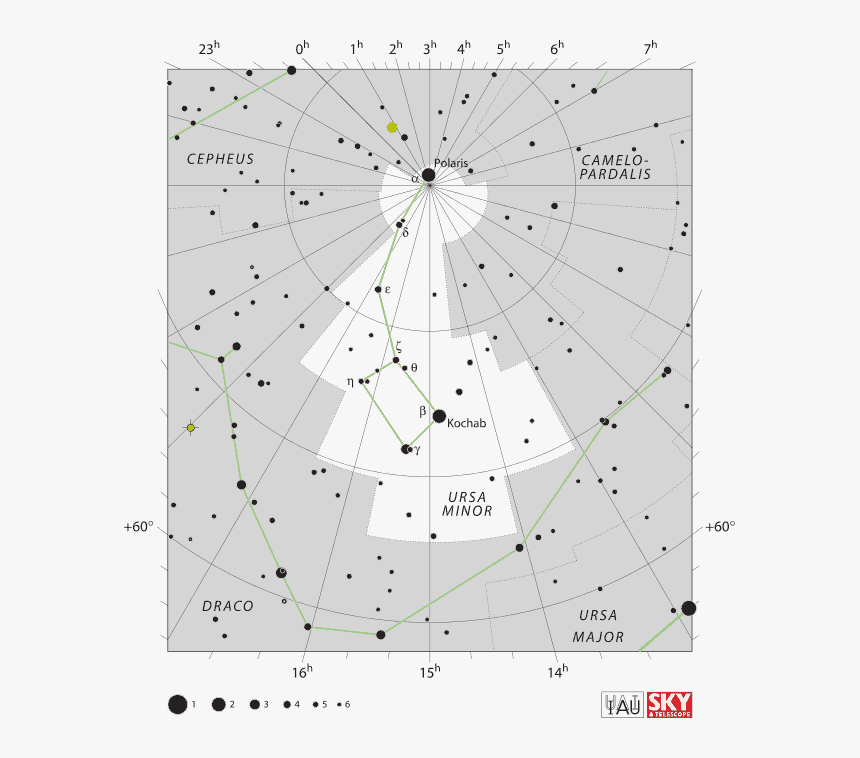 Ursa Minor Is A Circumpolar Constellation In The Whole - Ursa Minor Location, HD Png Download