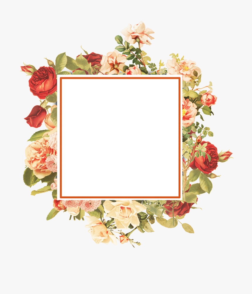 Garden Roses, HD Png Download