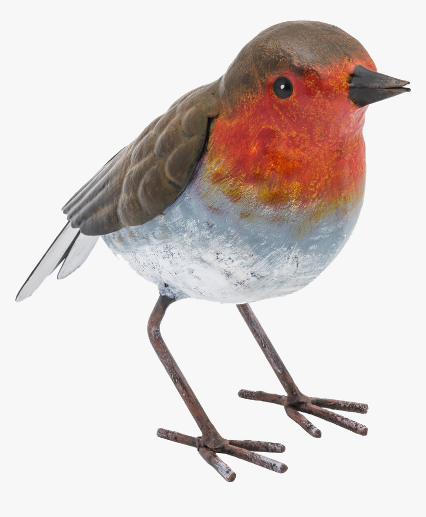Robin Png Free Download - Fountasia, Transparent Png