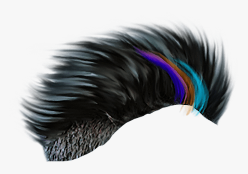 Hair Png Background Download, Transparent Png