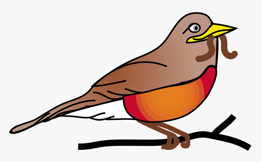 Robin Clipart, HD Png Download