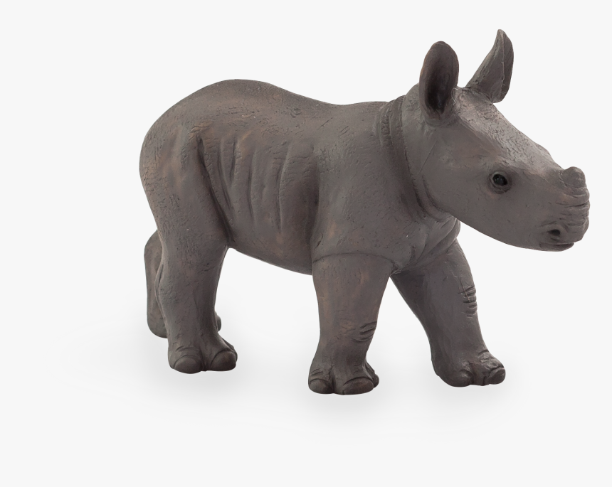 Realistic Baby Rhinoceros Figurine Toy By Animal Planet - Mojo Toys Baby Rhino, HD Png Download