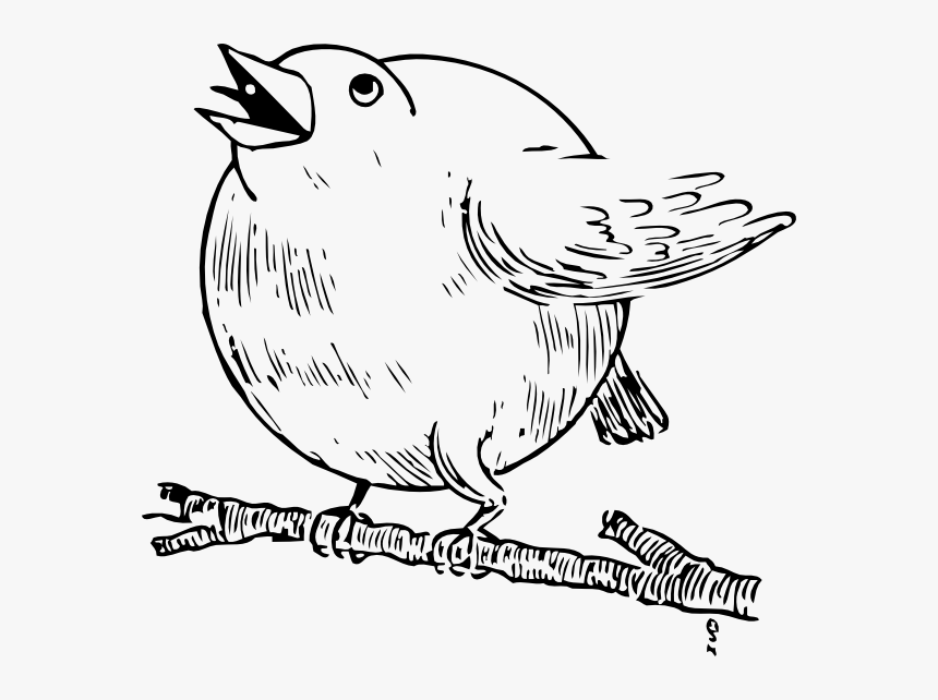 Round Robin Svg Clip Arts - Round Robin Bird Fat, HD Png Download
