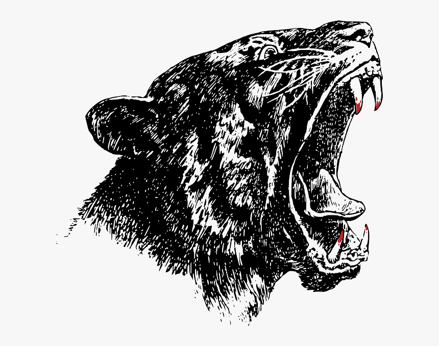 Lynx, Panther, Wildcat, Yawning, Hungry, Animal, Teeth - Go Savage, HD Png Download