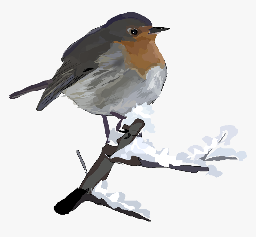 Robin In Snow Clip Art, HD Png Download