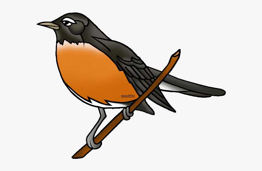 American Robin Png Photo - American Robin Clip Art, Transparent Png