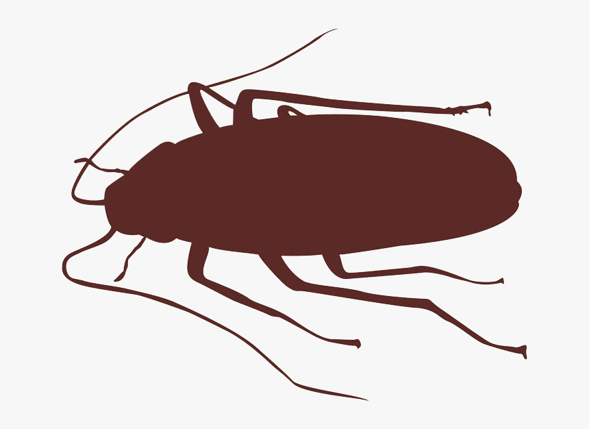 Cockroach Insect Silhouette - Cockroach Clipart Silhouette, HD Png Download