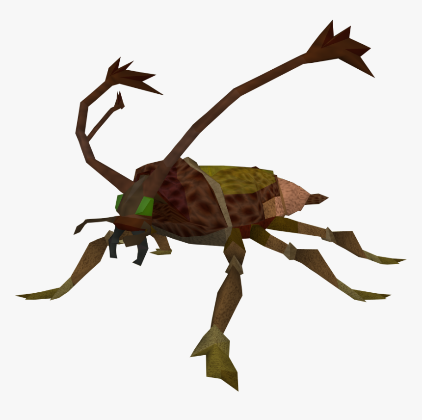 Runescape Cockroach, HD Png Download