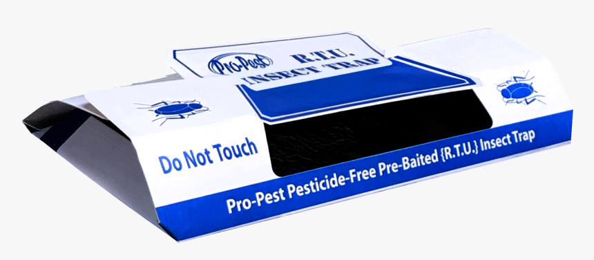 Carton, HD Png Download