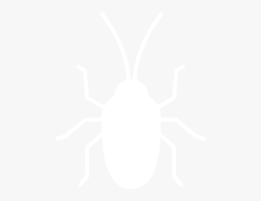 Weevil, HD Png Download