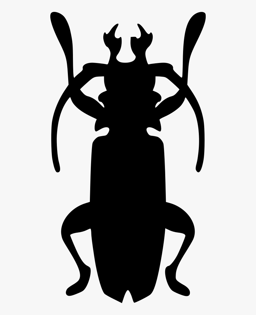 Beatle Nature Cockroach Roach, HD Png Download