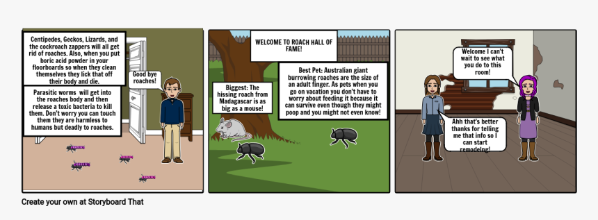Storyboard Cockroach Cartoon, HD Png Download