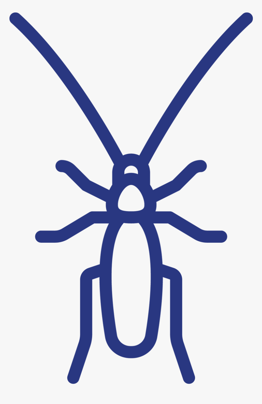 Download Your Cockroach Fact Sheet Now - Cockroach, HD Png Download