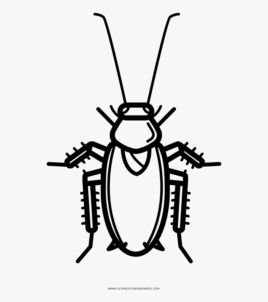 Roach Drawing Black And White Desenho Para Colorir De Barata Hd Png Download Transparent Png Image Pngitem