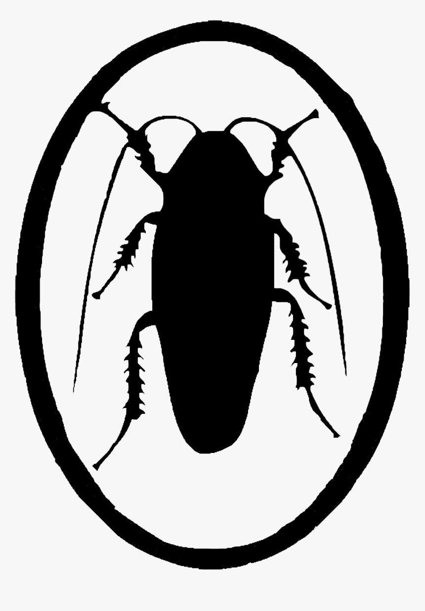 Butterfly And Cockroach , Png Download - Cockroach Butterfly, Transparent Png