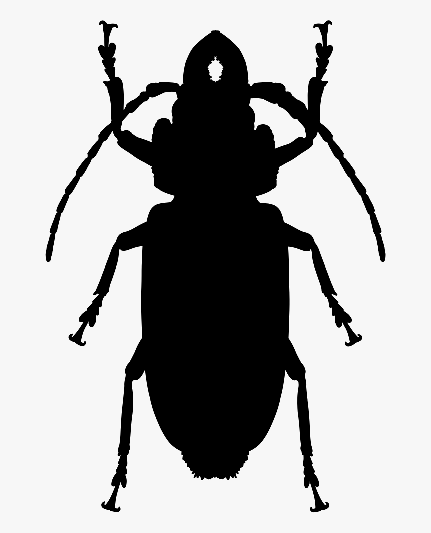 Cockroach Shape - Silhouette Cockroach Png, Transparent Png
