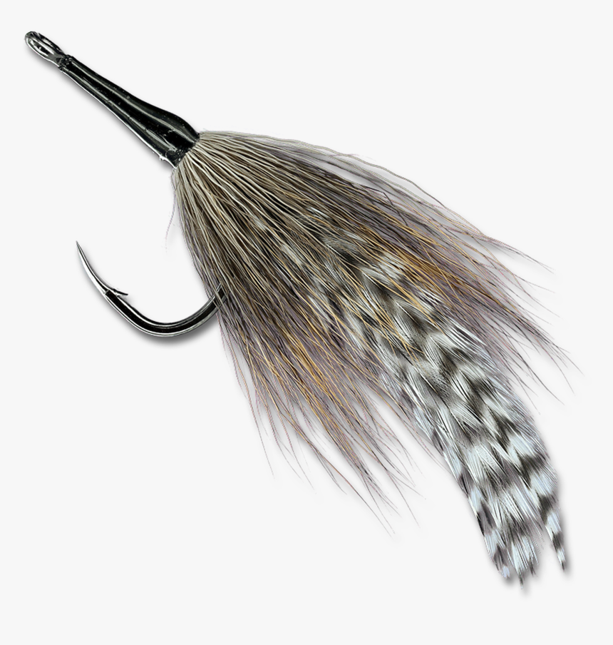 Cockroach, HD Png Download