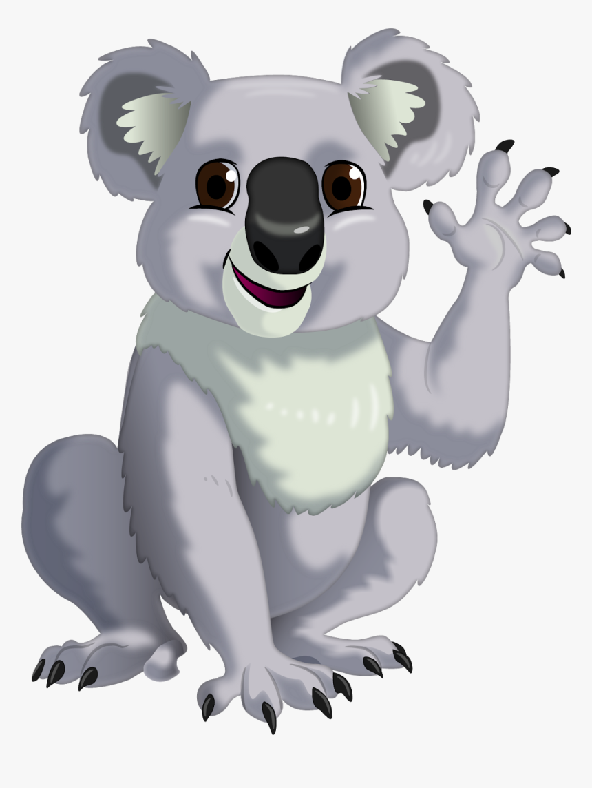 Koala, HD Png Download