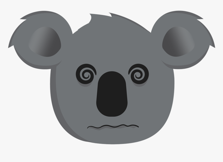 Hangover Koala - Koala - Koala, HD Png Download