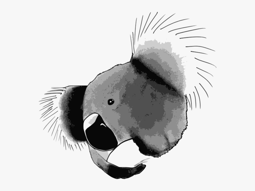 Koala Face Svg Clip Arts - Koala, HD Png Download