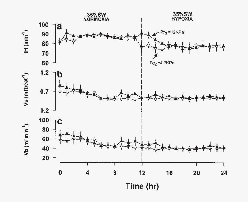 Diagram, HD Png Download