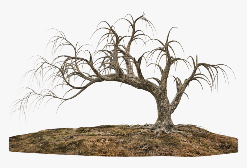 Tree And Soil Png, Picture - Sending My Love To Heaven, Transparent Png