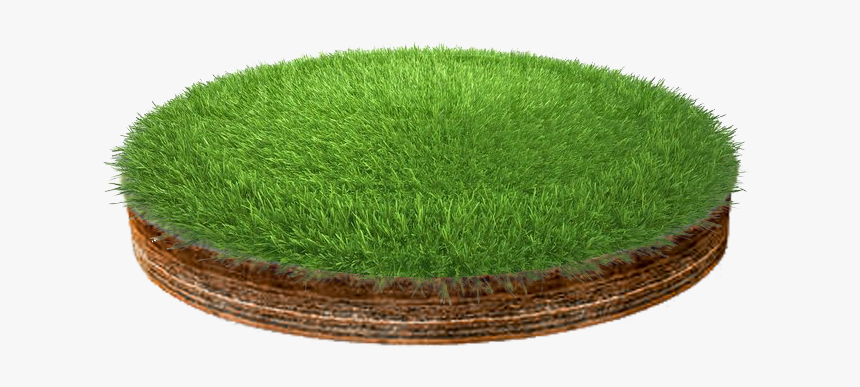 Lawn, HD Png Download