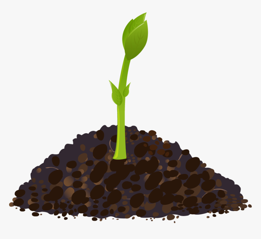 Grows And Develops Biology, HD Png Download