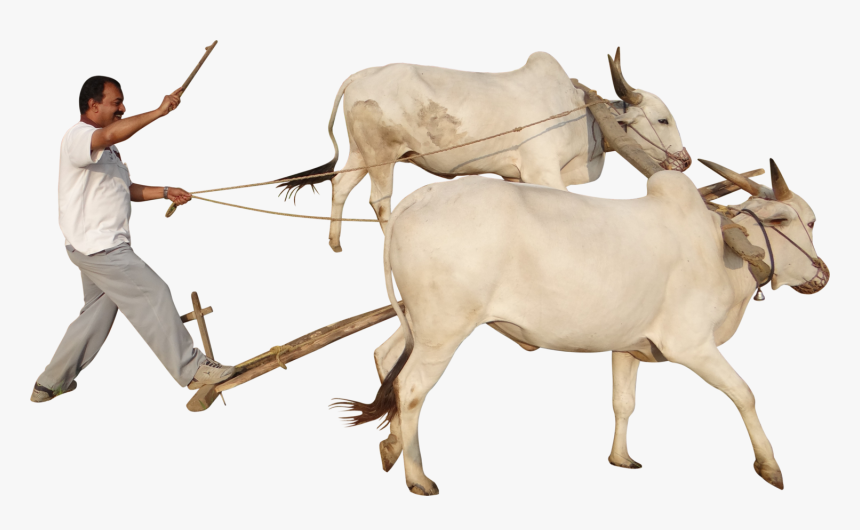 Farmer Png - Indian Farmer Images Png, Transparent Png