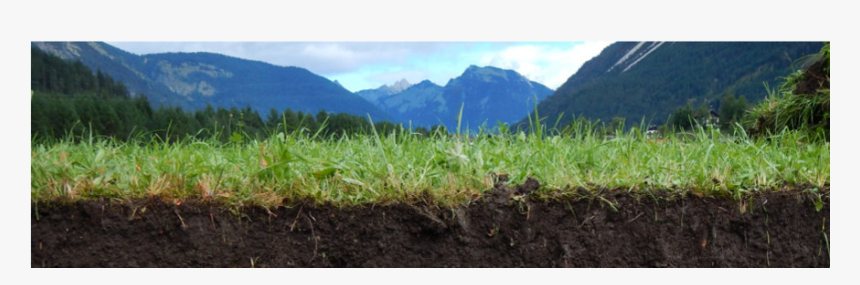 Field, HD Png Download