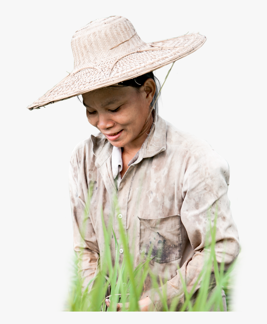 Grass, HD Png Download