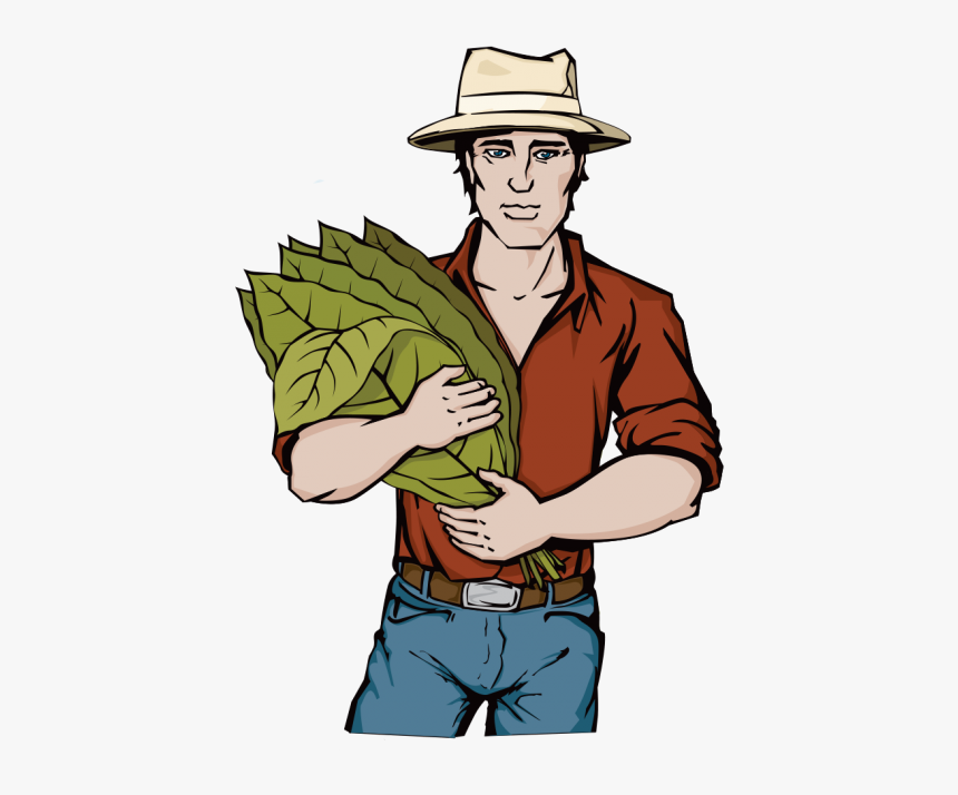 Tobacco Farming Clipart, HD Png Download