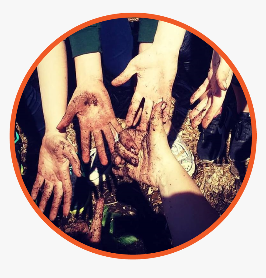Hands-circle - Circle, HD Png Download