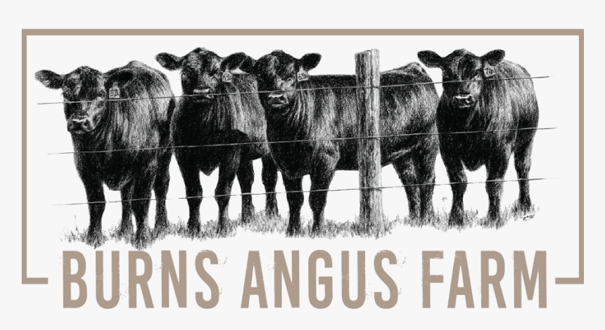 Burns Angus Farm Logo - Cow Fabric Quilt Panel, HD Png Download