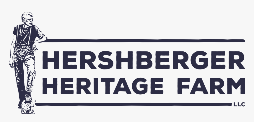 Ivory, HD Png Download