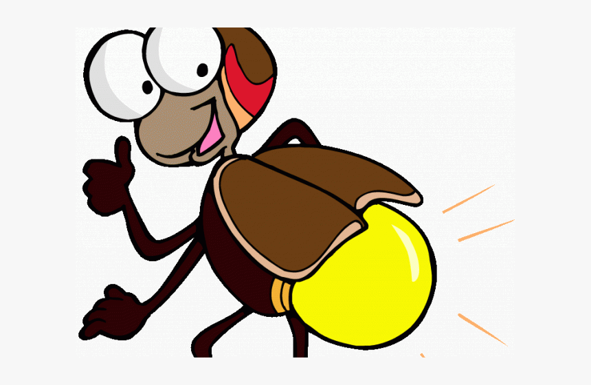 Cricket Insect Cartoon - Insect Flashcard, HD Png Download