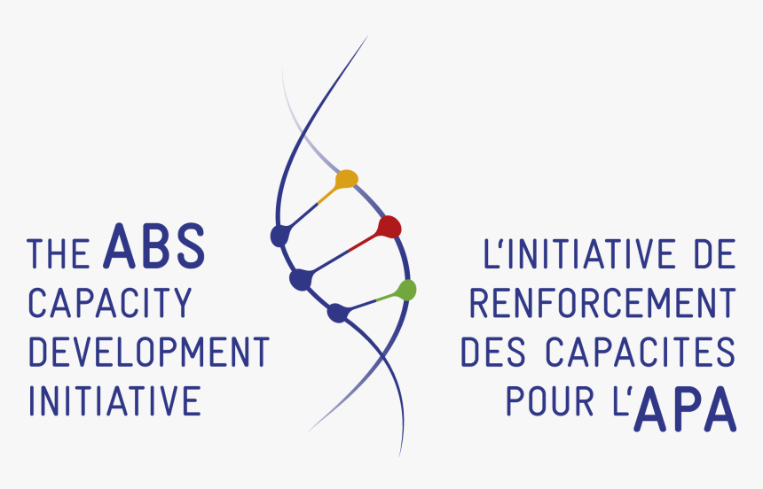 Abs Capacity Development Initiative Logo, HD Png Download