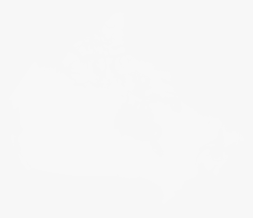 Mark S Commercial, A Division Of Mark S, Is A Proud - Johns Hopkins White Logo, HD Png Download