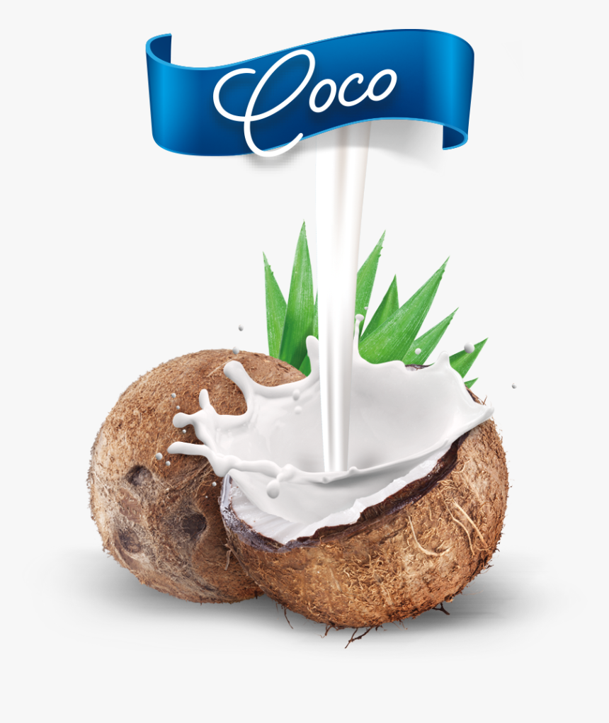 Nuevo Coco Mestre - Mestre Coco, HD Png Download