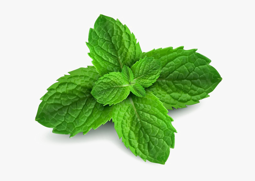 Peppermint Png Free Download - Peppermint Png, Transparent Png