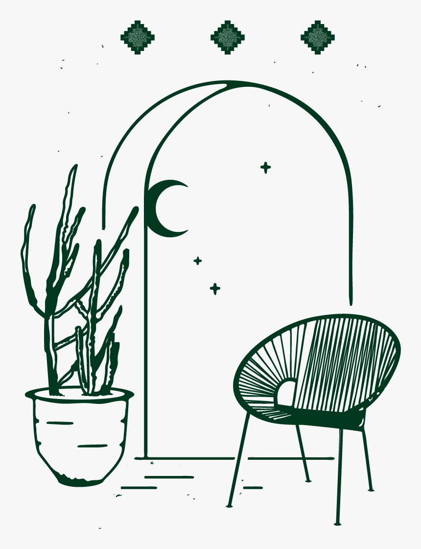 We Specialize In Exotic Cacti And Tropical Potted Plants, HD Png Download