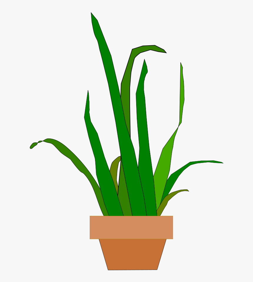 Snake Plant Svg, HD Png Download