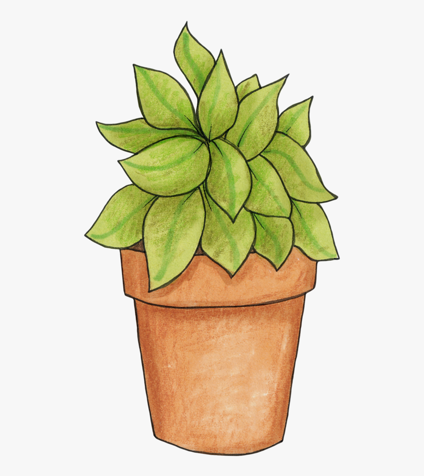 Pot Plant Clip Art, HD Png Download